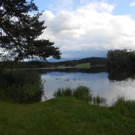 In The Allgaeu With View Of The Bavarian Alps