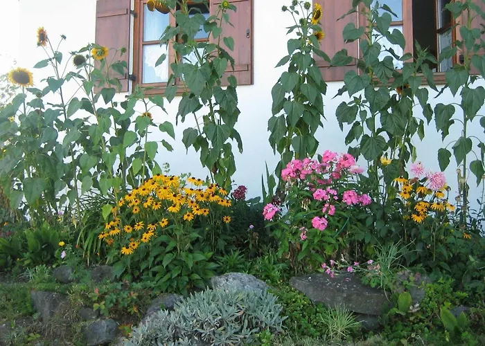Apartman In The Allgaeu With View Of The Bavarian Alps *