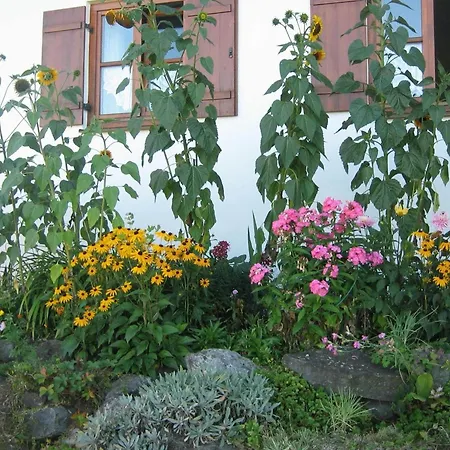 Apartment In The Allg U With View Of The Bavarian Alps *
