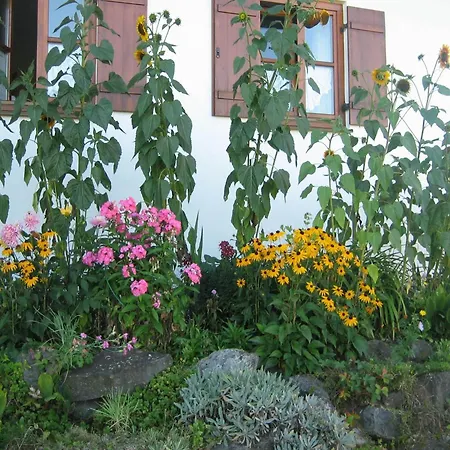 In The Allg U With View Of The Bavarian Alps Apartment Bernbeuren