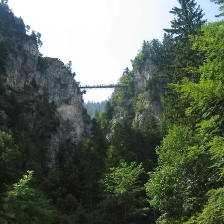 In The Allg U With View Of The Bavarian Alps *