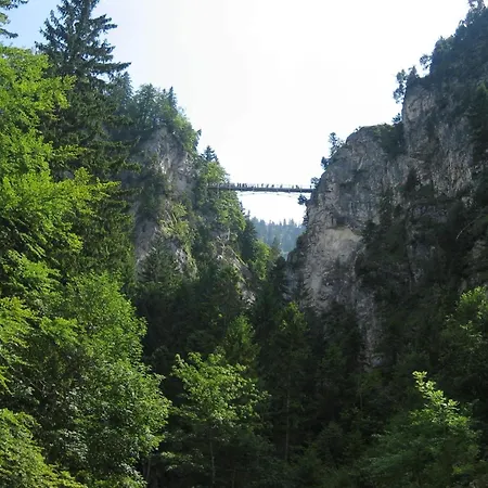 In The Allgaeu With View Of The Bavarian Alps