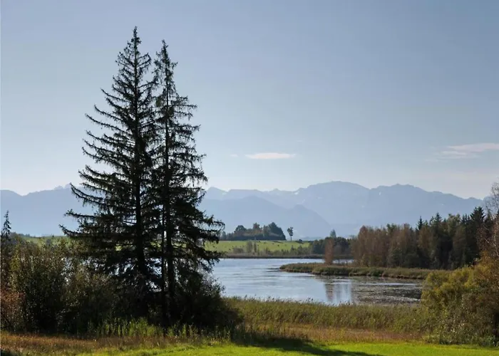 In The Allgaeu With View Of The Bavarian Alps 公寓