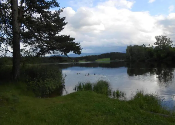 In The Allgaeu With View Of The Bavarian Alps Bernbeuren