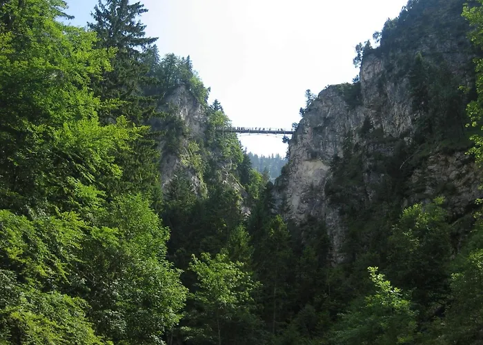In The Allgaeu With View Of The Bavarian Alps